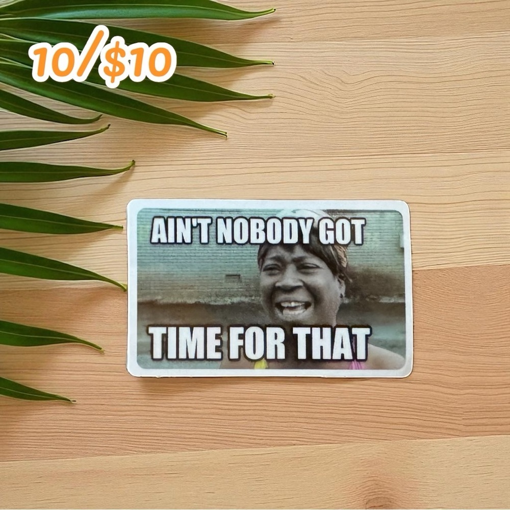 Funny Meme Sticker – Ain’t Nobody Got Time for That – 3”